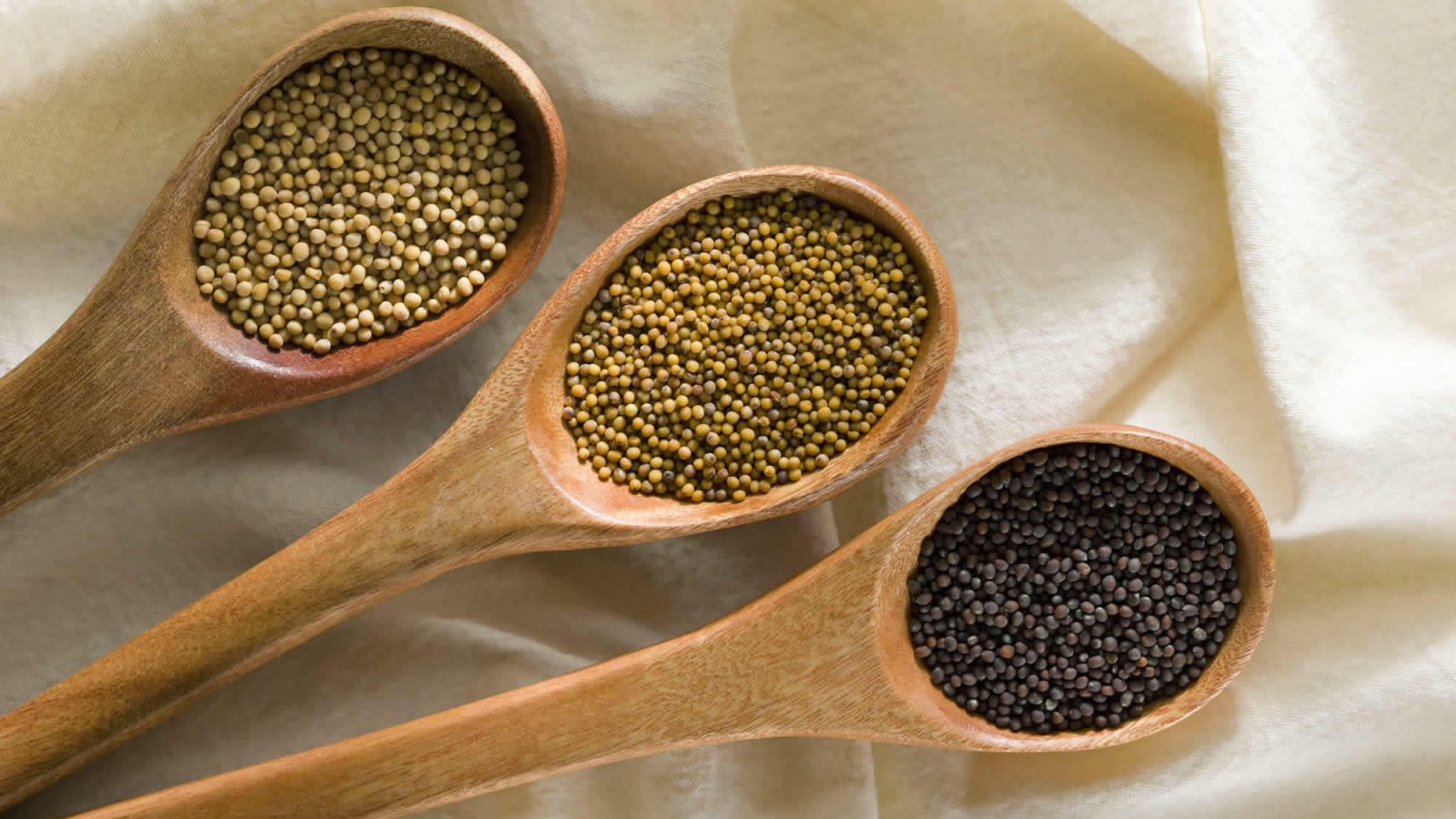 Yellow, oriental and brown mustard seed