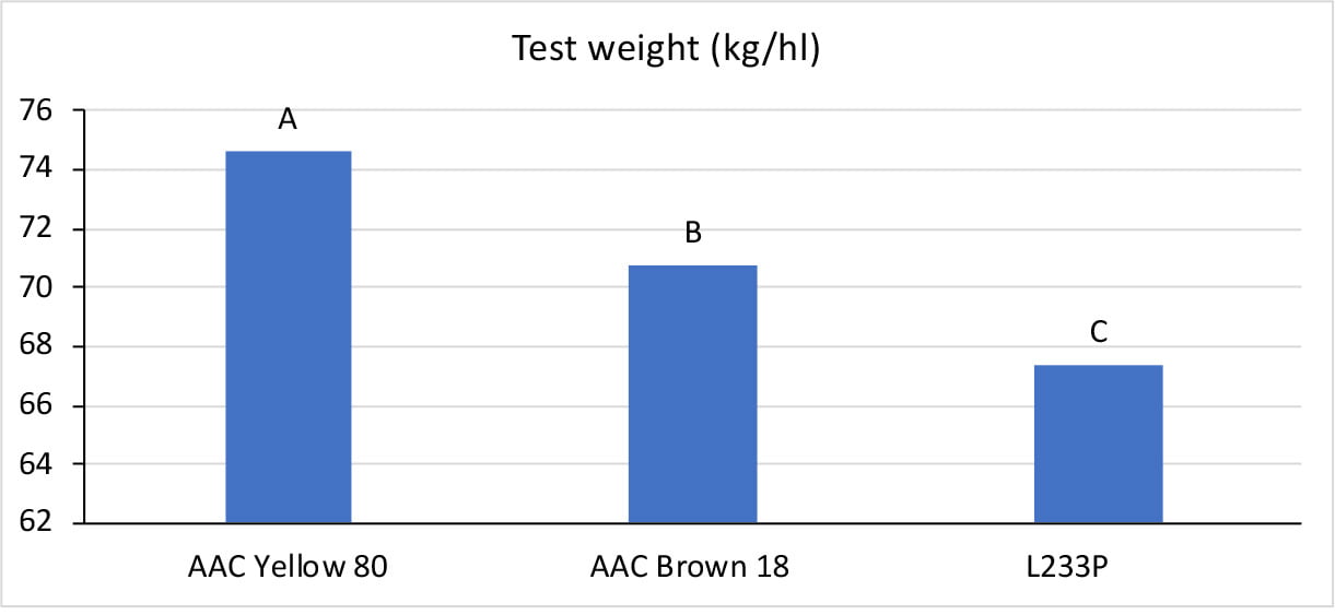Test weight (kg/hl)