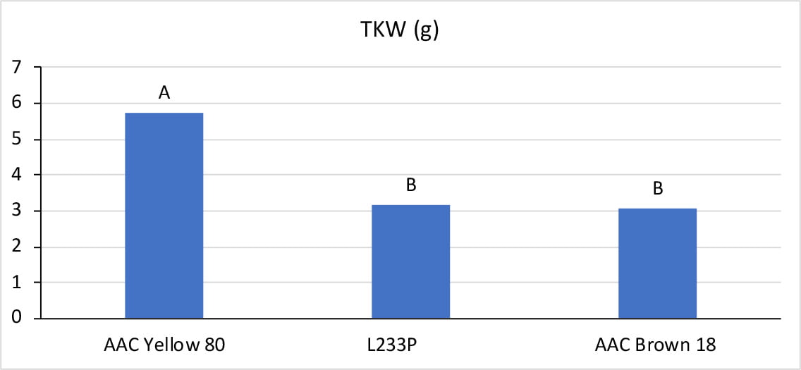 Thousand Kernel Weight in grams